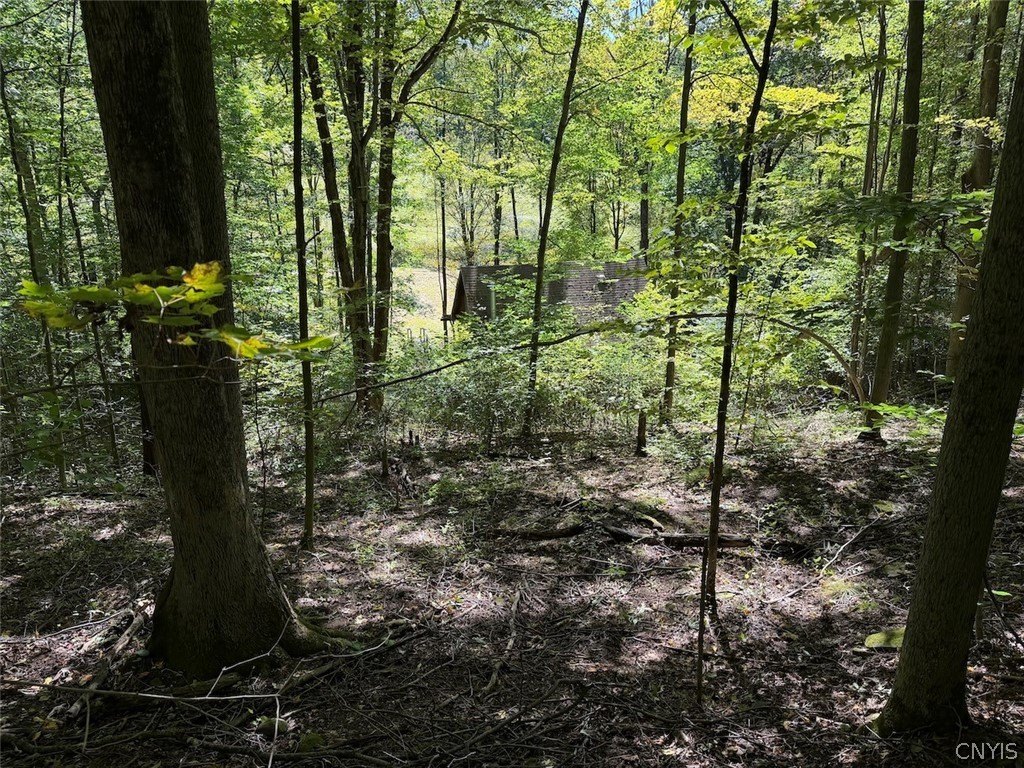 Picture 48
