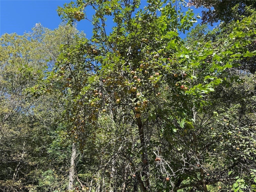 Picture 30