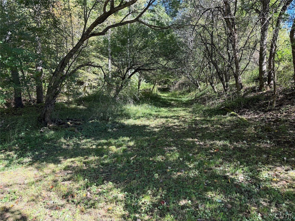 Picture 31