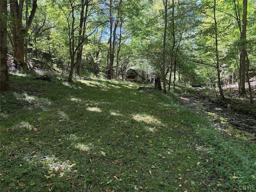 Picture 36