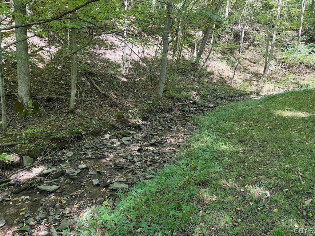 Picture 41