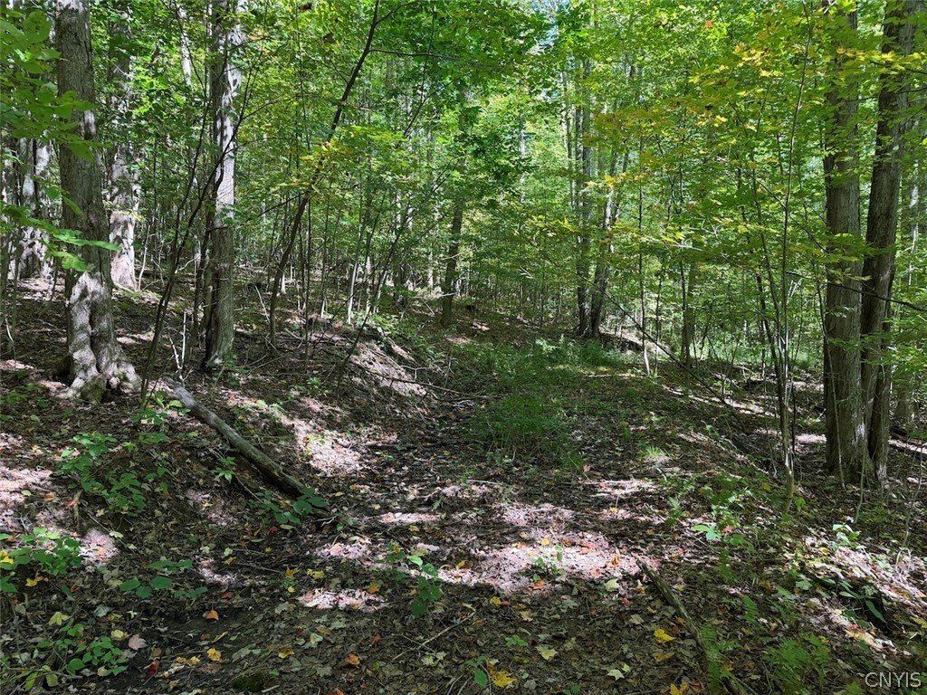 Picture 45