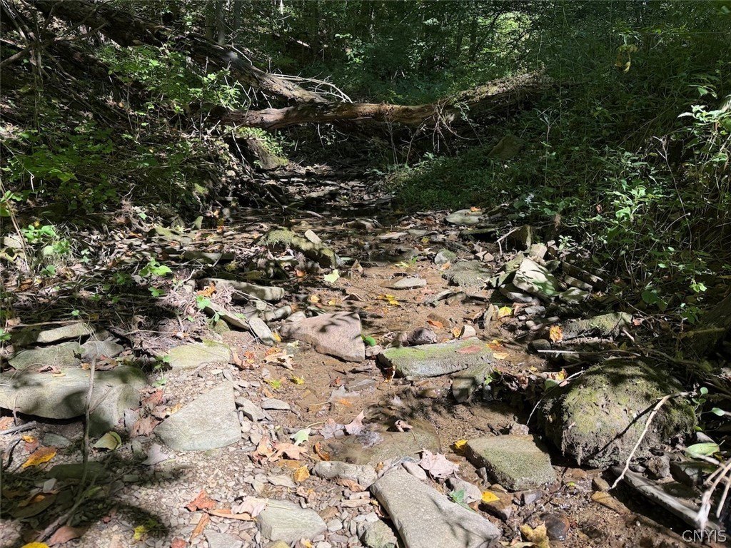 Picture 38