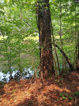 Hunting Land with Pond
