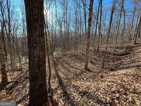 Land, Clayton, GA