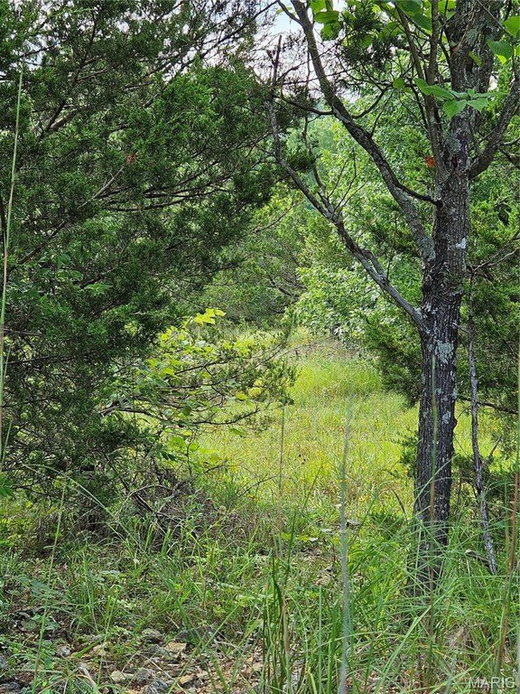 Picture 8