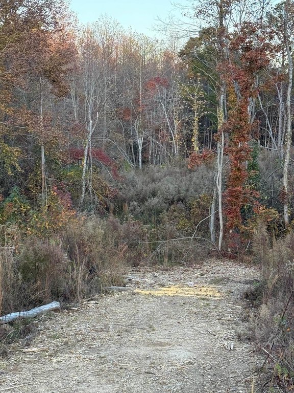 Picture 2
