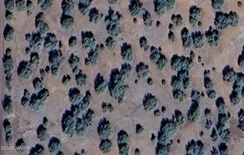 Concho, AZ Acreage for Sale