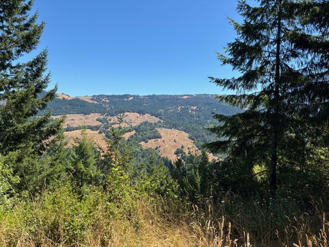 360 Acres in Kneeland, CA