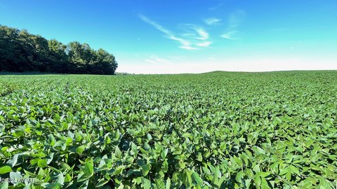 Residential Land in Brownsville, TN