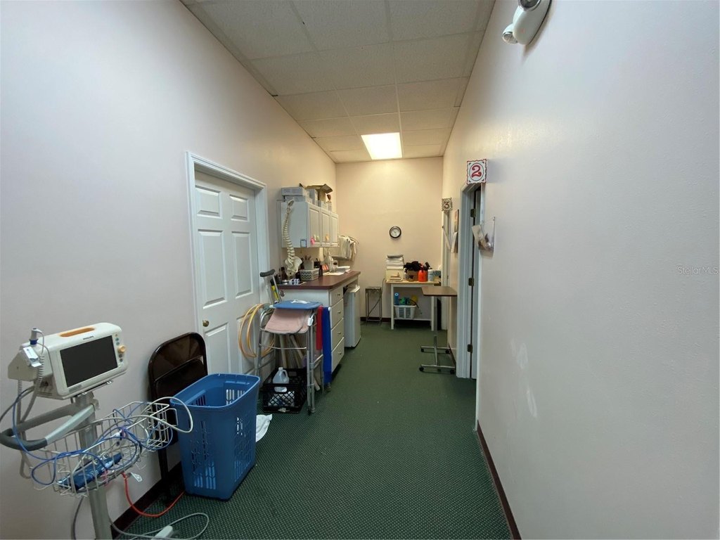 Picture 21