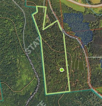 Wooded Hunting and Recreation Land