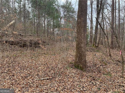 Picture of Land at Marque Ln NE 729, Ranger, GA
