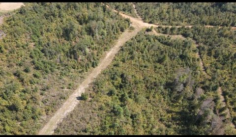 Toomsboro, GA Hunting Land