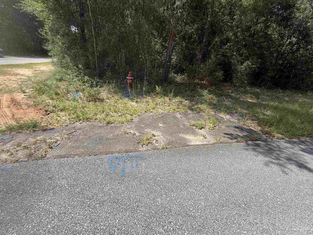 Picture 5