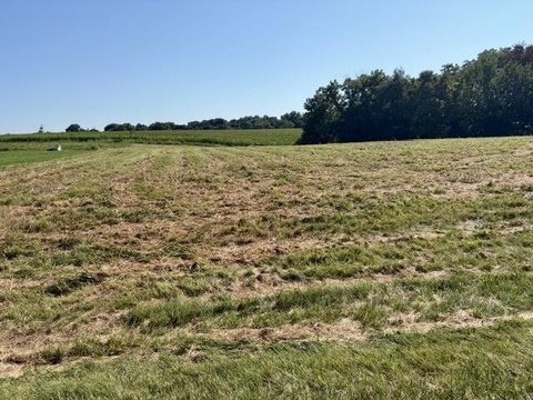 LAND - Campbellsville, KY