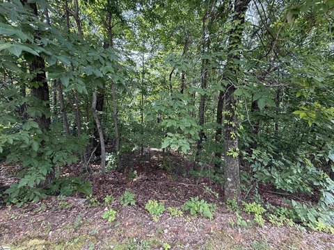 LAND - Marietta, SC