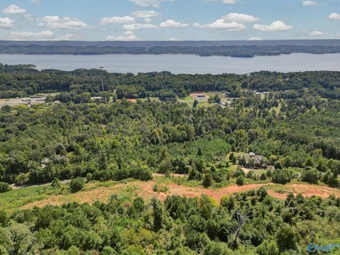 Land, Guntersville, AL