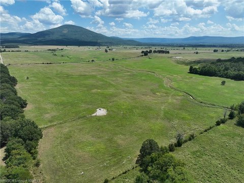 40 Acres of Oklahoma Land