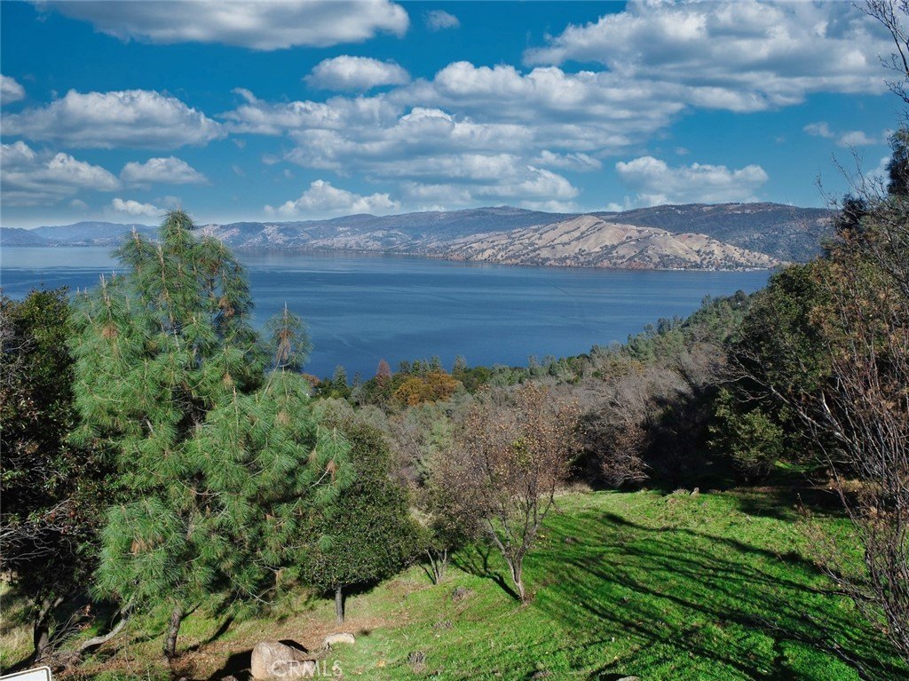 Kelseyville Land with Lake View