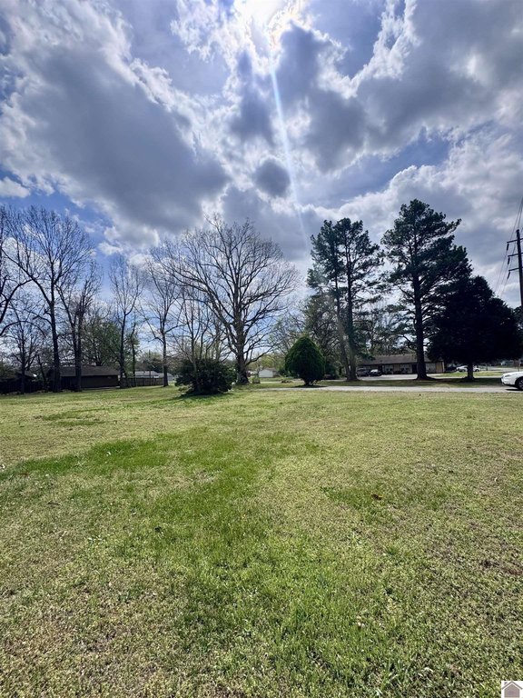 Picture 2