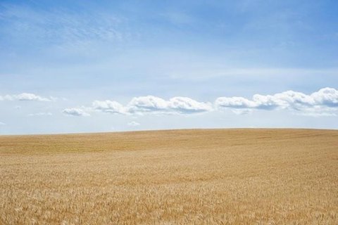 Unimproved Land in Imperial, CA