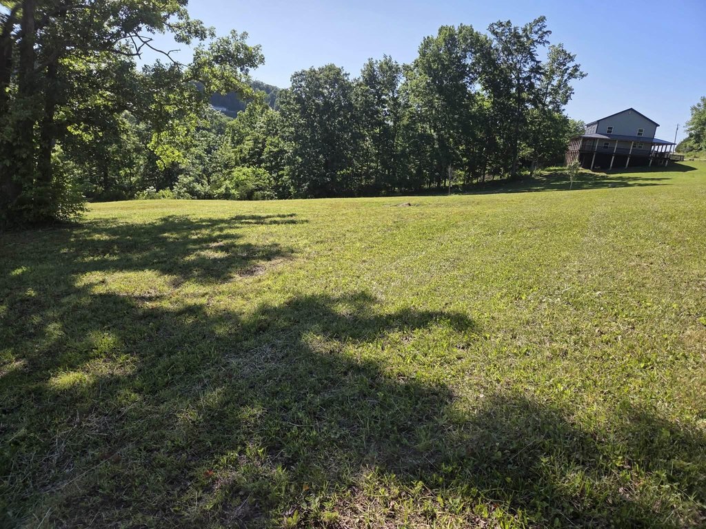 Picture 6