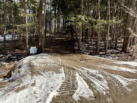 South Haven Wooded Acreage Available