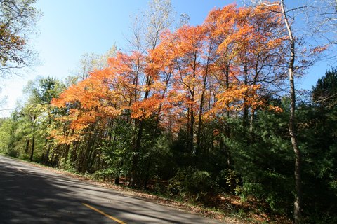South Haven Wooded Acreage Available