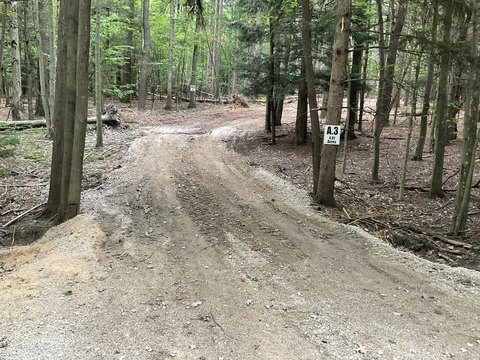 South Haven Wooded Acreage Available