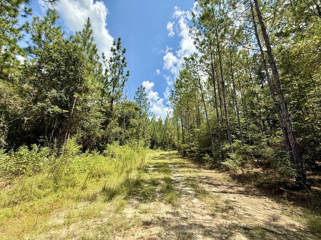 Picture 26