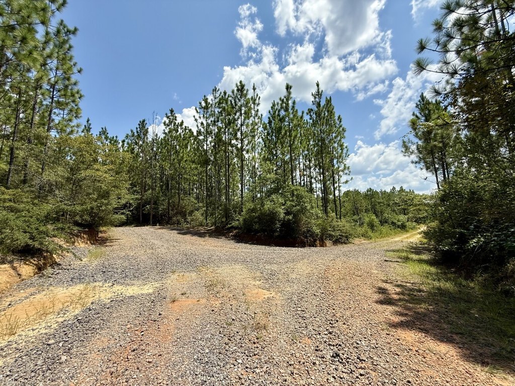 Picture 13