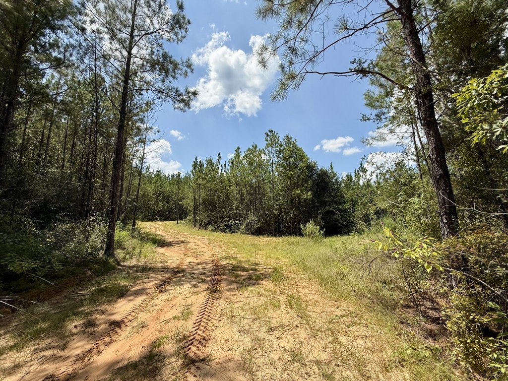 Picture 30