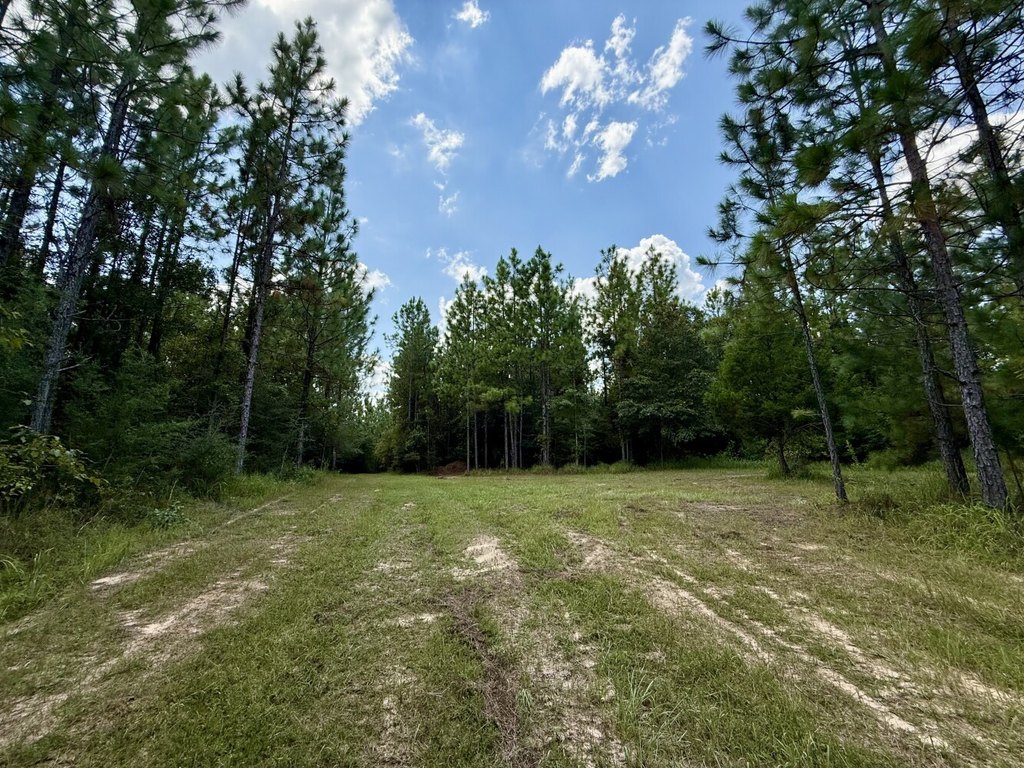 Picture 19