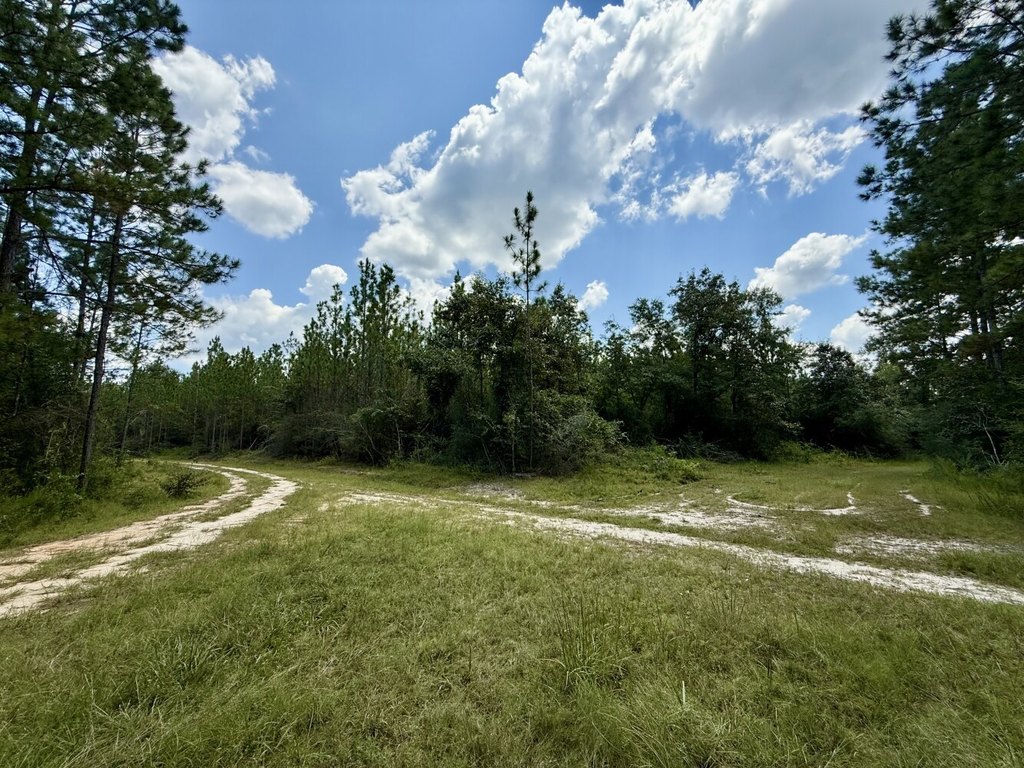 Picture 5