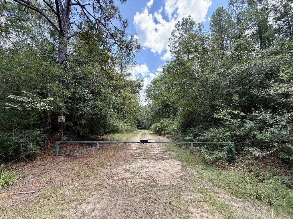 Picture 4