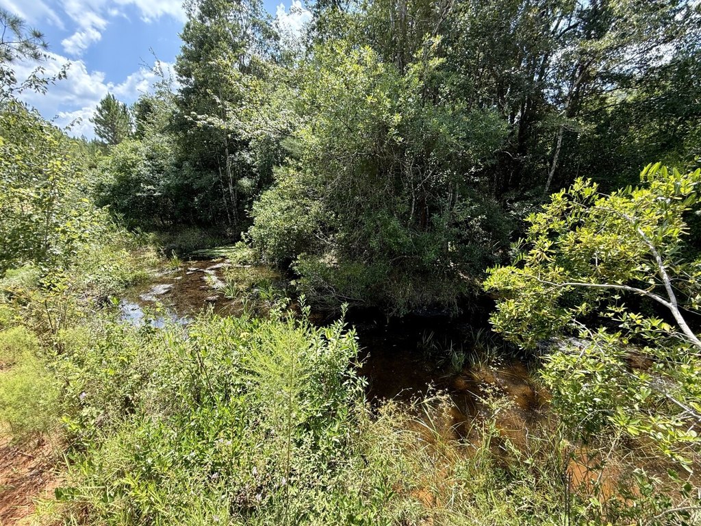 Picture 31