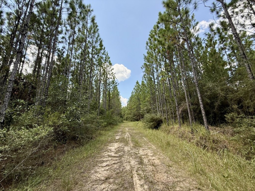 Picture 20
