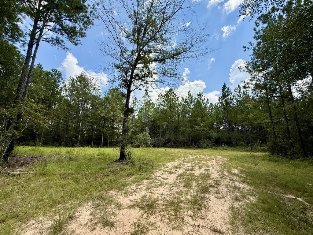 Picture 21