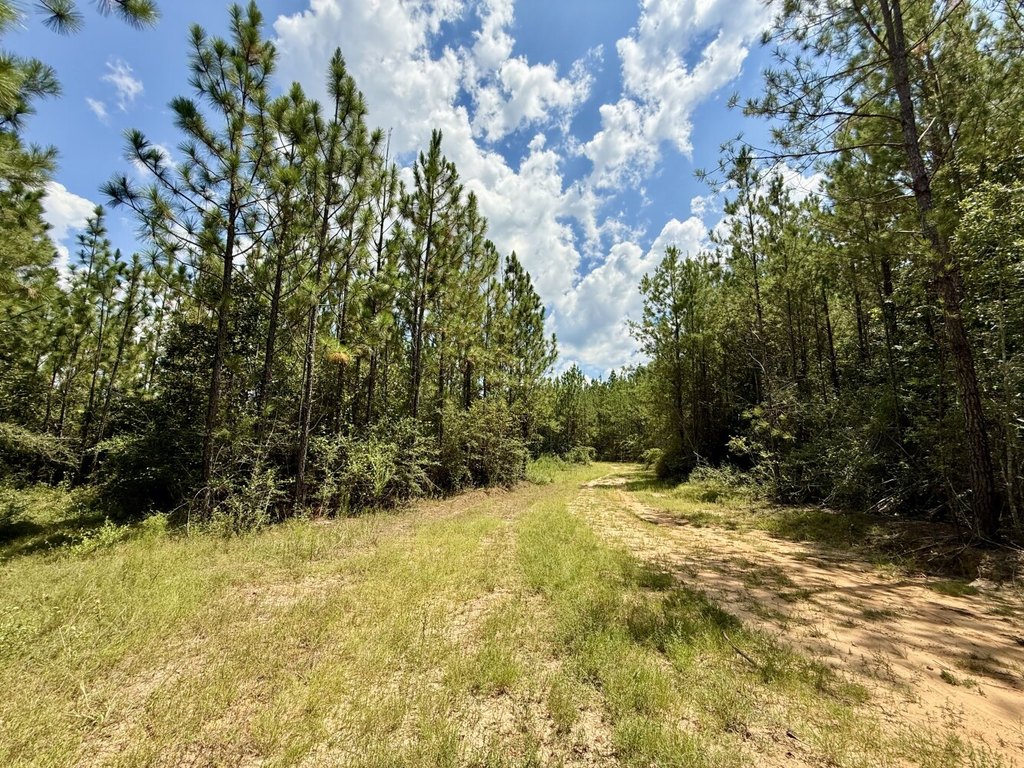 Picture 28