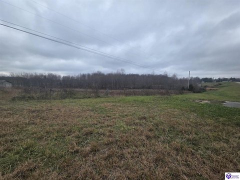 Undeveloped Acreage in Campbellsville, KY