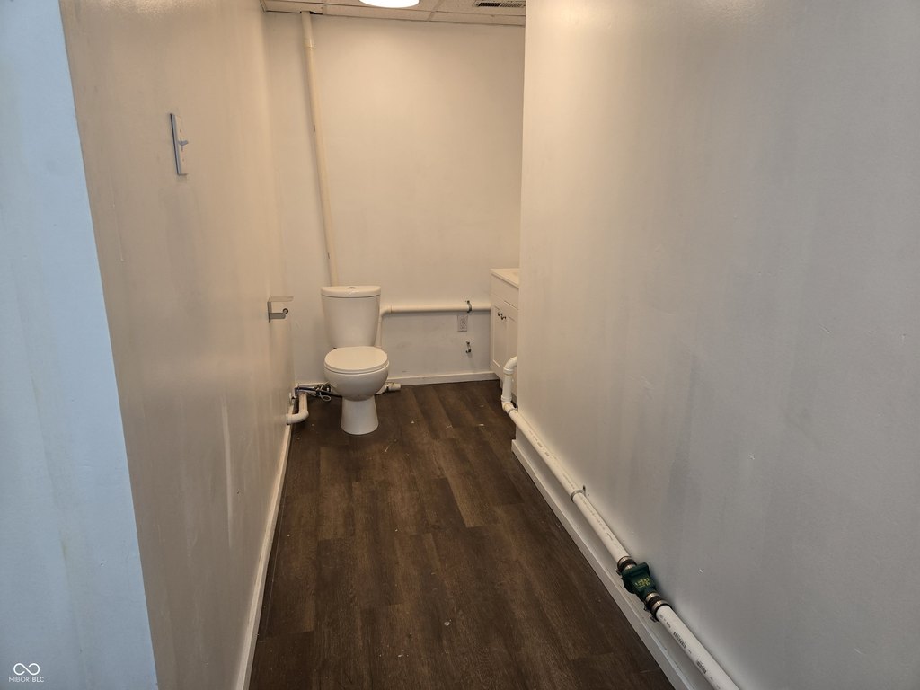 Picture 44