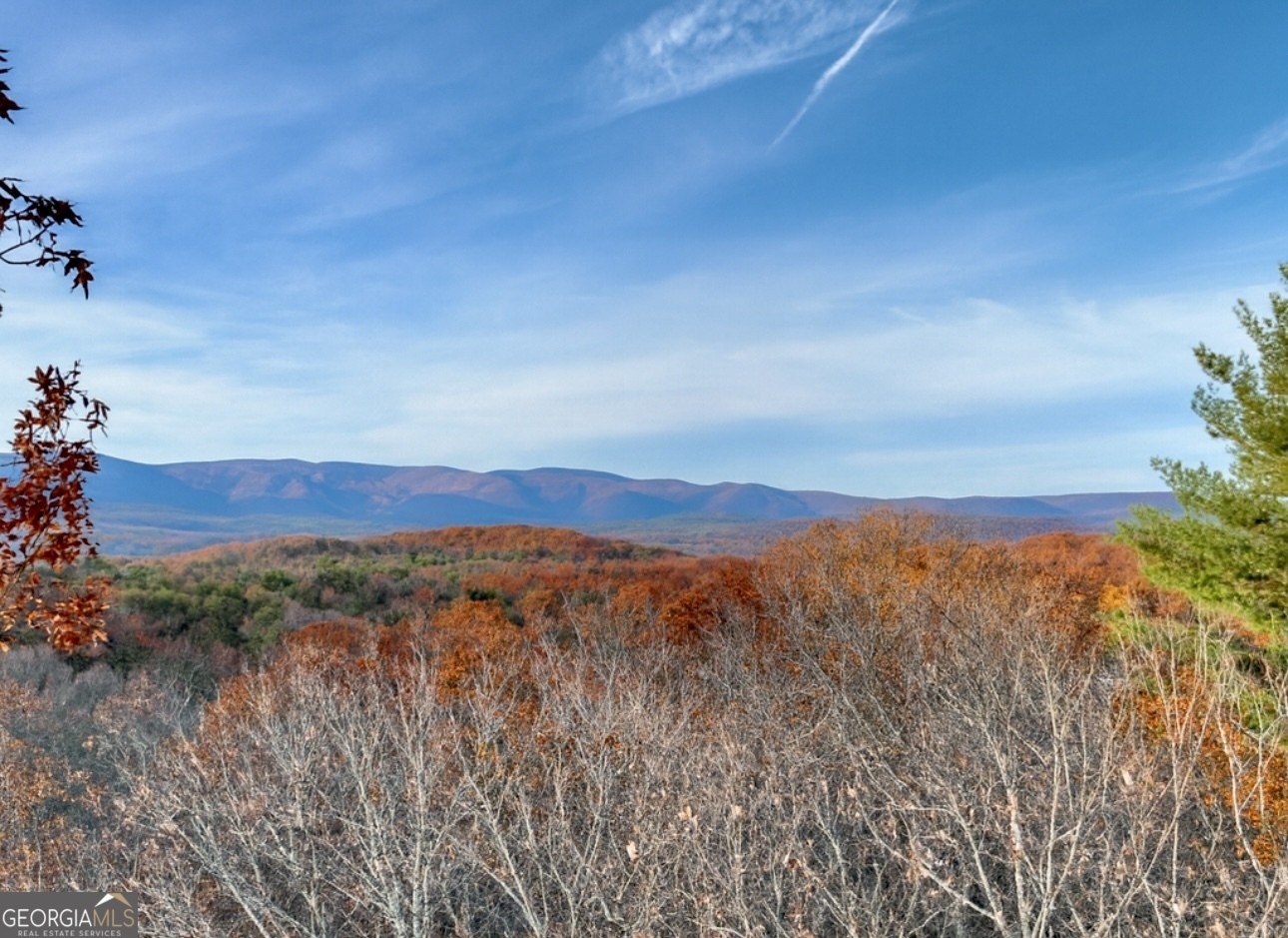 Ellijay Land with Mountain Views