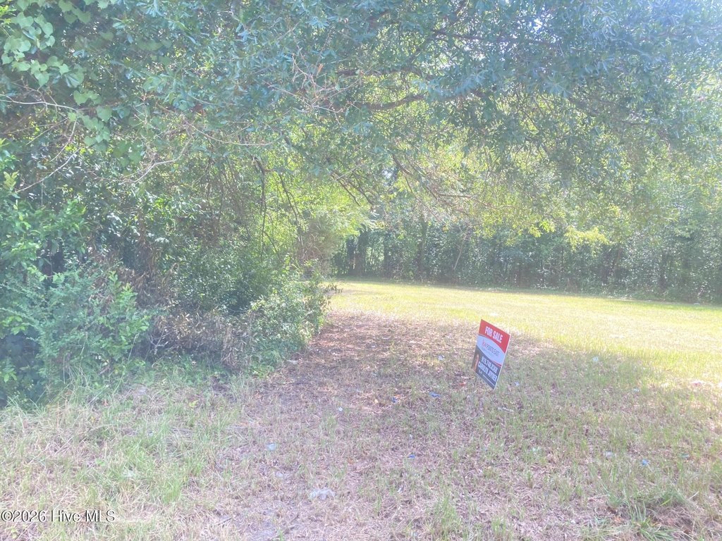 Picture 4