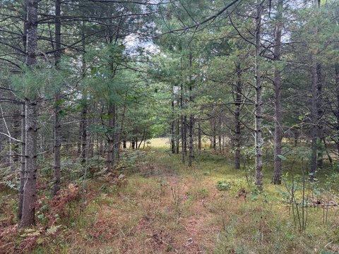 Land, Minocqua, WI