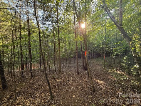 LAND - Hendersonville, NC
