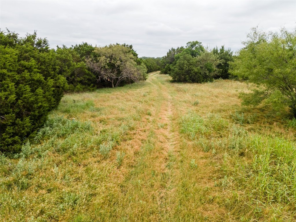 Picture 31
