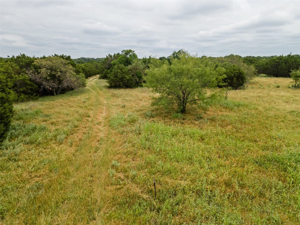 Picture 30