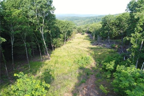 Elkins Land with Exceptional Views