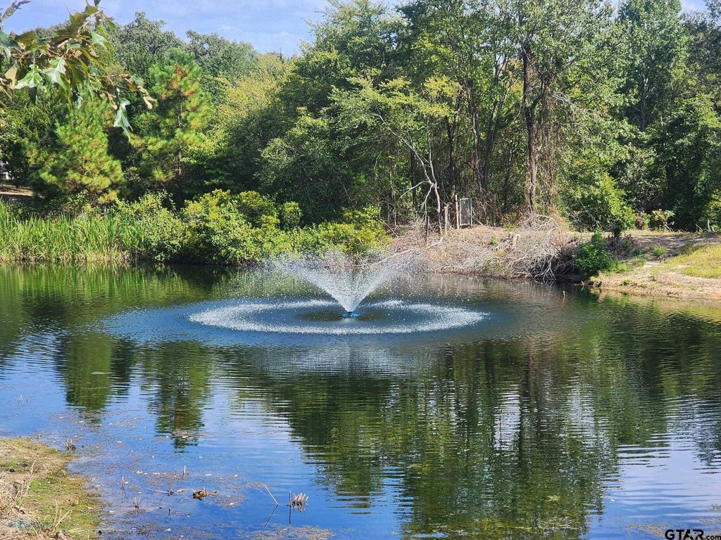 Picture 25